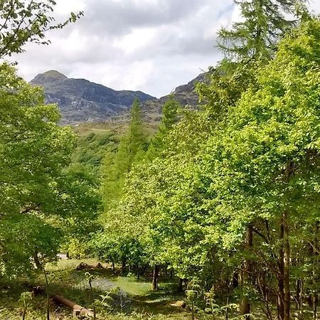 Mountain Walks Straight From The Doorstep Villa Blaenau Ffestiniog Eksteriør billede