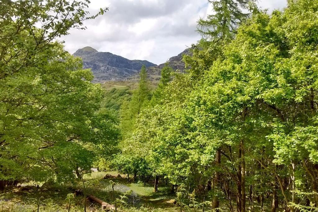 Mountain Walks Straight From The Doorstep Villa Blaenau Ffestiniog Eksteriør billede